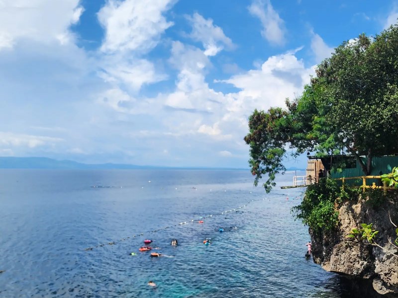 Bohol - Sardines Run