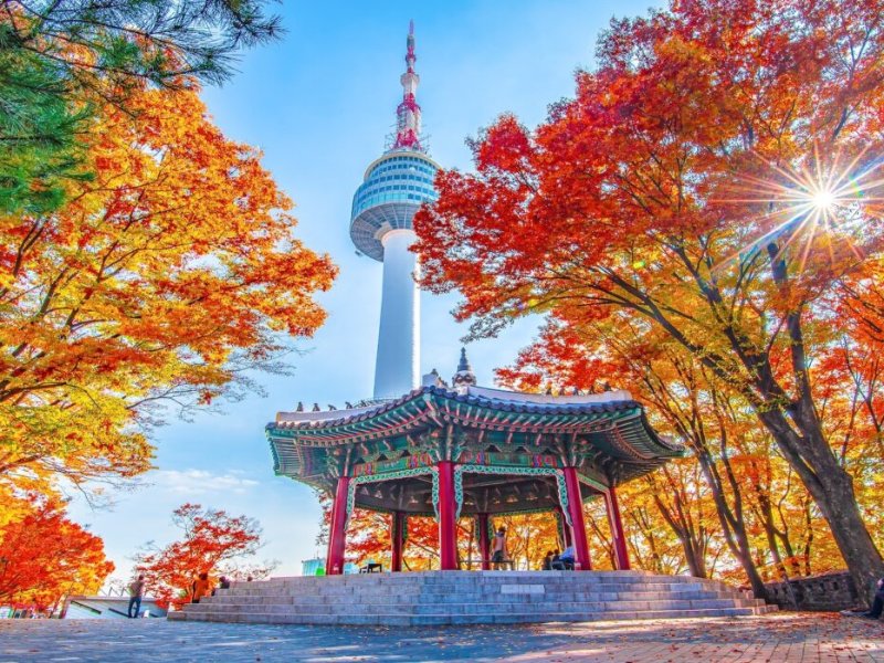 Korea | Seoul & K-POP Experience (4D3N)