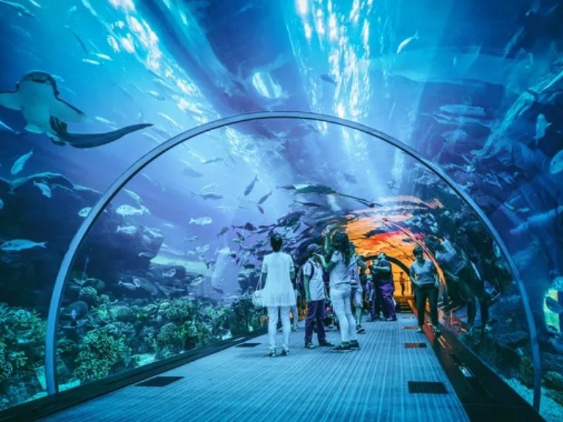 Malaysia | KLCC Twin Tower Skybridge and Aquaria Tour (1D)