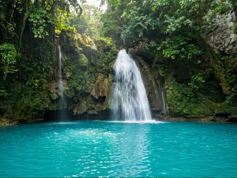 Cebu | Moalboal & Kawasan Adventure