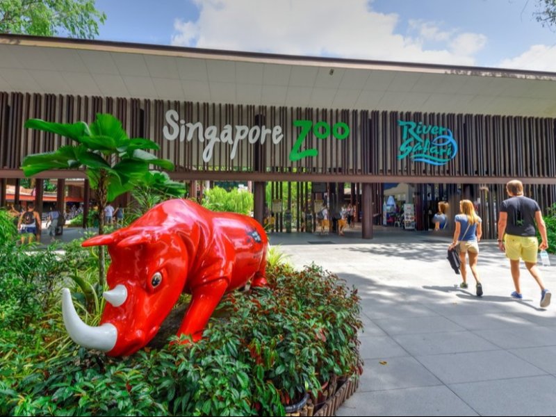 Singapore | Mandai Lake Rd & Zoo Day Tour