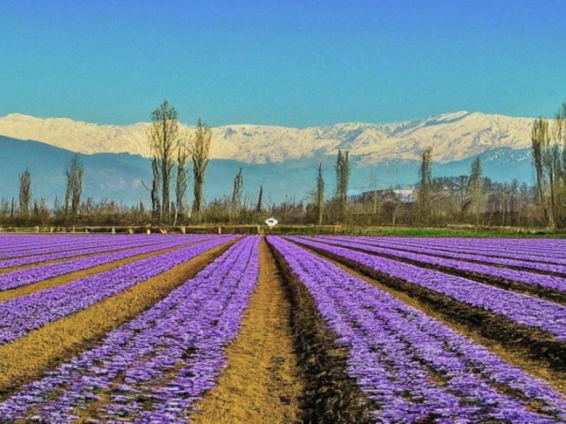 Turkey | Istanbul & Landmark Adventure (10D9N)- Adventure 10D9N